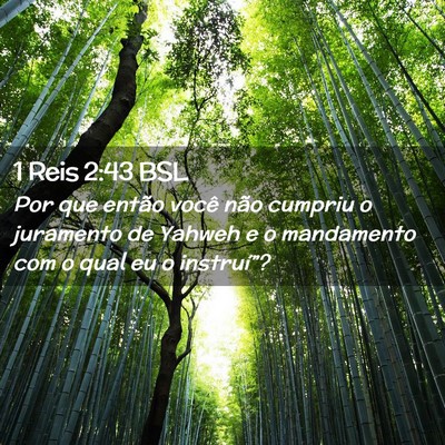 Picture 02 - 1 Reis 2:43 BSL - Por que então você não cumpriu o juramento de - Bible Verse Picture