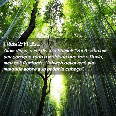 Picture 02 - 1 Reis 2:44 BSL - Além disso, o rei disse a Shimei: “Você sabe - Bible Verse Picture