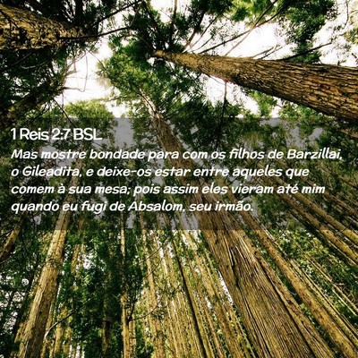 Picture 02 - 1 Reis 2:7 BSL - Mas mostre bondade para com os filhos de - Bible Verse Picture