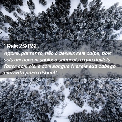 Picture 02 - 1 Reis 2:9 BSL - Agora, portanto, não o deixeis sem culpa, pois - Bible Verse Picture