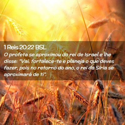 Picture 02 - 1 Reis 20:22 BSL - O profeta se aproximou do rei de Israel e lhe - Bible Verse Picture