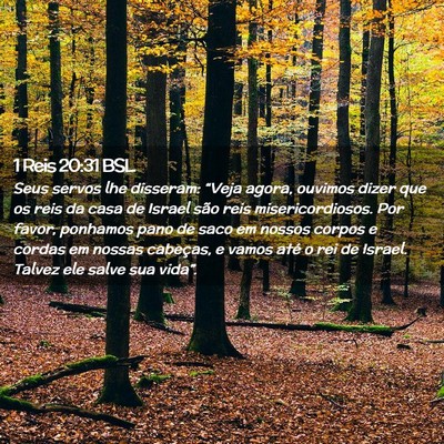 Picture 02 - 1 Reis 20:31 BSL - Seus servos lhe disseram: “Veja agora, ouvimos - Bible Verse Picture