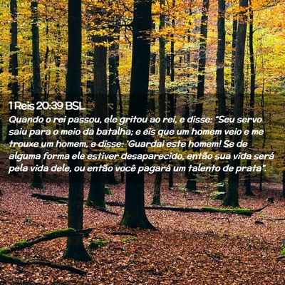 Picture 02 - 1 Reis 20:39 BSL - Quando o rei passou, ele gritou ao rei, e disse: - Bible Verse Picture