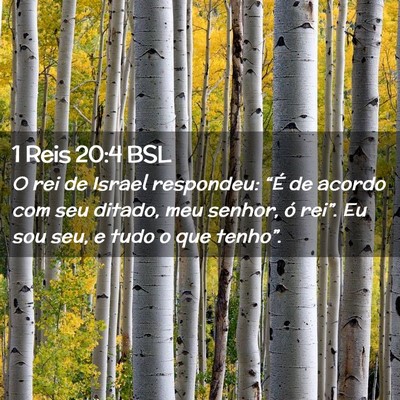 Picture 02 - 1 Reis 20:4 BSL - O rei de Israel respondeu: “É de acordo com - Bible Verse Picture