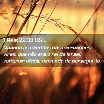 Picture 02 - 1 Reis 22:33 BSL - Quando os capitães das carruagens viram que não - Bible Verse Picture