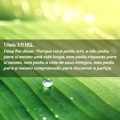 Picture 02 - 1 Reis 3:11 BSL - Deus lhe disse: “Porque você pediu isto, e - Bible Verse Picture