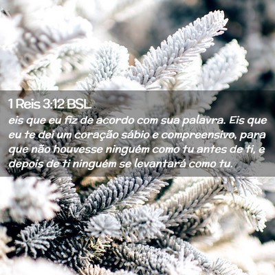 Picture 02 - 1 Reis 3:12 BSL - eis que eu fiz de acordo com sua palavra. Eis que - Bible Verse Picture