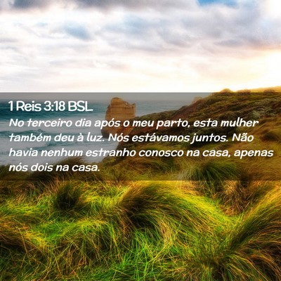Picture 02 - 1 Reis 3:18 BSL - No terceiro dia após o meu parto, esta mulher - Bible Verse Picture