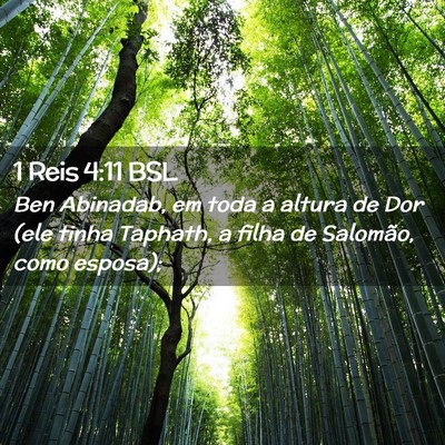 Picture 02 - 1 Reis 4:11 BSL - Ben Abinadab, em toda a altura de Dor (ele tinha - Bible Verse Picture
