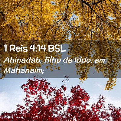Picture 02 - 1 Reis 4:14 BSL - Ahinadab, filho de Iddo, em - Bible Verse Picture