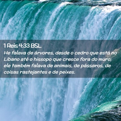 Picture 02 - 1 Reis 4:33 BSL - He falava de árvores, desde o cedro que está no - Bible Verse Picture