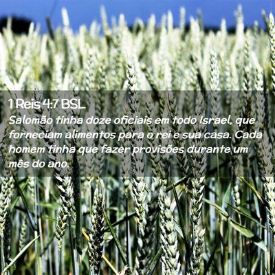 Picture 02 - 1 Reis 4:7 BSL - Salomão tinha doze oficiais em todo Israel, que - Bible Verse Picture