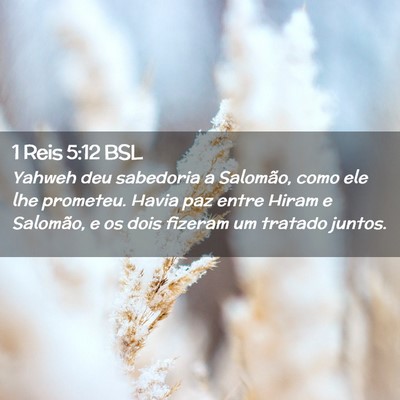 Picture 02 - 1 Reis 5:12 BSL - Yahweh deu sabedoria a Salomão, como ele lhe - Bible Verse Picture