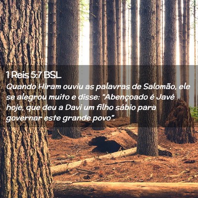 Picture 02 - 1 Reis 5:7 BSL - Quando Hiram ouviu as palavras de Salomão, ele - Bible Verse Picture