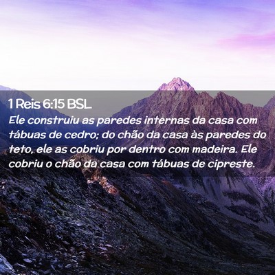 Picture 02 - 1 Reis 6:15 BSL - Ele construiu as paredes internas da casa com - Bible Verse Picture