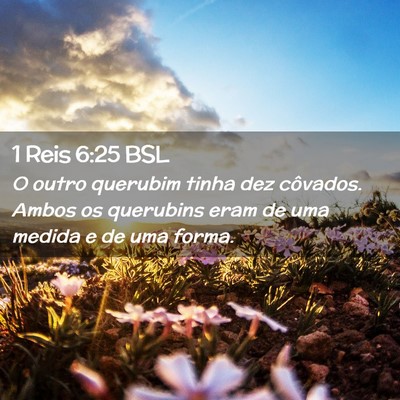 Picture 02 - 1 Reis 6:25 BSL - O outro querubim tinha dez côvados. Ambos os - Bible Verse Picture