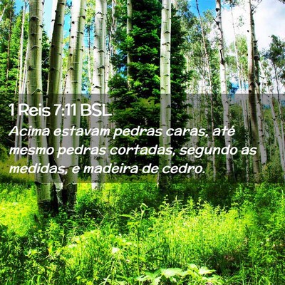 Picture 02 - 1 Reis 7:11 BSL - Acima estavam pedras caras, até mesmo pedras - Bible Verse Picture
