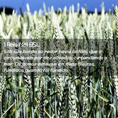 Picture 02 - 1 Reis 7:24 BSL - Sob sua borda ao redor havia botões que o - Bible Verse Picture