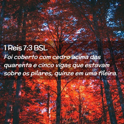 Picture 02 - 1 Reis 7:3 BSL - Foi coberto com cedro acima das quarenta e cinco - Bible Verse Picture