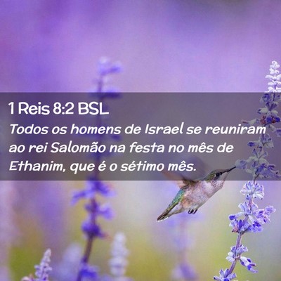 Picture 02 - 1 Reis 8:2 BSL - Todos os homens de Israel se reuniram ao rei - Bible Verse Picture