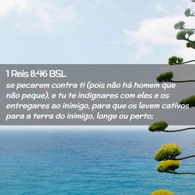 Picture 02 - 1 Reis 8:46 BSL - se pecarem contra ti (pois não há homem que - Bible Verse Picture