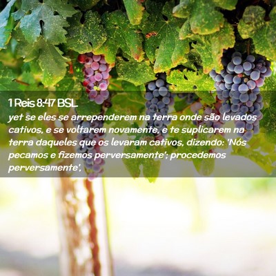 Picture 02 - 1 Reis 8:47 BSL - yet se eles se arrependerem na terra onde são - Bible Verse Picture