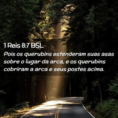 Picture 02 - 1 Reis 8:7 BSL - Pois os querubins estenderam suas asas sobre o - Bible Verse Picture