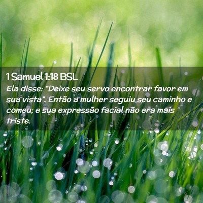Picture 02 - 1 Samuel 1:18 BSL - Ela disse: “Deixe seu servo encontrar favor em - Bible Verse Picture