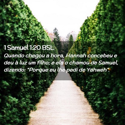 Picture 02 - 1 Samuel 1:20 BSL - Quando chegou a hora, Hannah concebeu e deu à - Bible Verse Picture