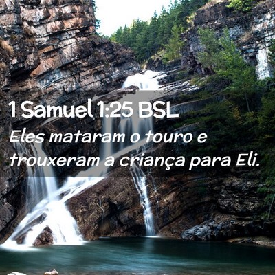 Picture 02 - 1 Samuel 1:25 BSL - Eles mataram o touro e trouxeram a criança para - Bible Verse Picture