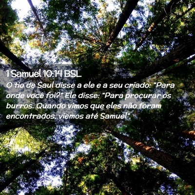 Picture 02 - 1 Samuel 10:14 BSL - O tio de Saul disse a ele e a seu criado: “Para - Bible Verse Picture
