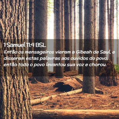 Picture 02 - 1 Samuel 11:4 BSL - Então os mensageiros vieram a Gibeah de Saul, e - Bible Verse Picture