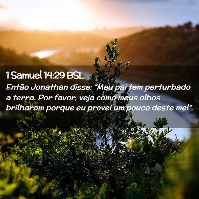 Picture 02 - 1 Samuel 14:29 BSL - Então Jonathan disse: “Meu pai tem perturbado - Bible Verse Picture