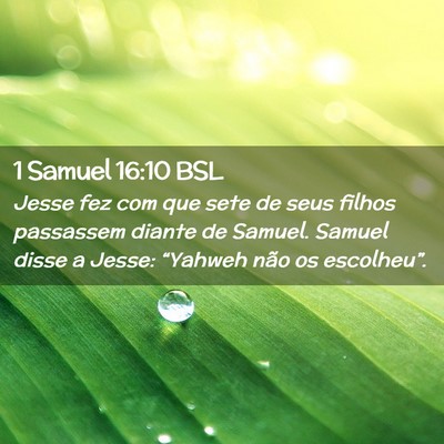 Picture 02 - 1 Samuel 16:10 BSL - Jesse fez com que sete de seus filhos passassem - Bible Verse Picture