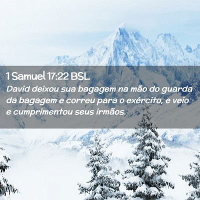 Picture 02 - 1 Samuel 17:22 BSL - David deixou sua bagagem na mão do guarda da - Bible Verse Picture