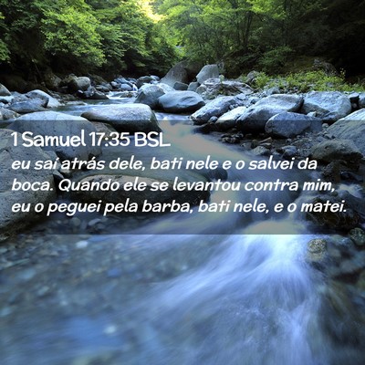 Picture 02 - 1 Samuel 17:35 BSL - eu saí atrás dele, bati nele e o salvei da - Bible Verse Picture