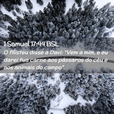 Picture 02 - 1 Samuel 17:44 BSL - O filisteu disse a Davi: “Vem a mim, e eu darei - Bible Verse Picture