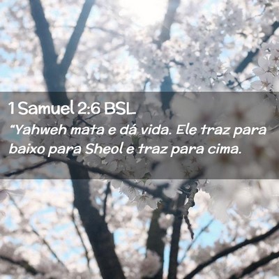 Picture 02 - 1 Samuel 2:6 BSL - “Yahweh mata e dá vida. Ele traz para baixo - Bible Verse Picture