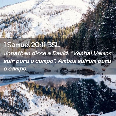 Picture 02 - 1 Samuel 20:11 BSL - Jonathan disse a David: “Venha! Vamos sair para - Bible Verse Picture