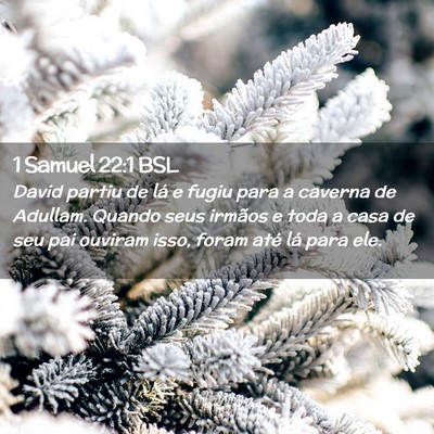 Picture 02 - 1 Samuel 22:1 BSL - David partiu de lá e fugiu para a caverna de - Bible Verse Picture