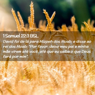 Picture 02 - 1 Samuel 22:3 BSL - David foi de lá para Mizpeh dos Moab; e disse ao - Bible Verse Picture