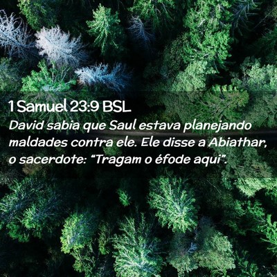 Picture 02 - 1 Samuel 23:9 BSL - David sabia que Saul estava planejando maldades - Bible Verse Picture