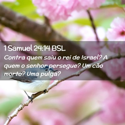 Picture 02 - 1 Samuel 24:14 BSL - Contra quem saiu o rei de Israel? A quem o senhor - Bible Verse Picture