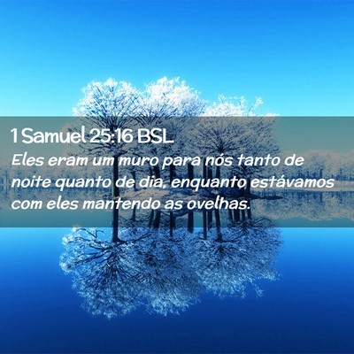 Picture 02 - 1 Samuel 25:16 BSL - Eles eram um muro para nós tanto de noite quanto - Bible Verse Picture