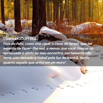 Picture 02 - 1 Samuel 25:34 BSL - Pois de fato, como vive Javé, o Deus de Israel, - Bible Verse Picture
