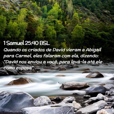 Picture 02 - 1 Samuel 25:40 BSL - Quando os criados de David vieram a Abigail para - Bible Verse Picture