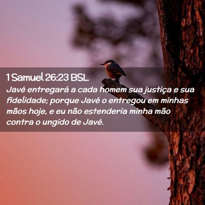 Picture 02 - 1 Samuel 26:23 BSL - Javé entregará a cada homem sua justiça e sua - Bible Verse Picture