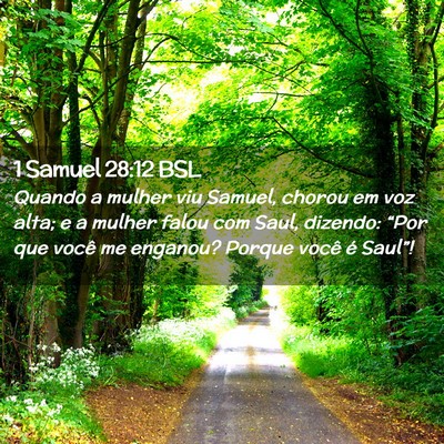 Picture 02 - 1 Samuel 28:12 BSL - Quando a mulher viu Samuel, chorou em voz alta; e - Bible Verse Picture