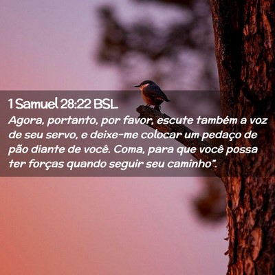 Picture 02 - 1 Samuel 28:22 BSL - Agora, portanto, por favor, escute também a voz - Bible Verse Picture