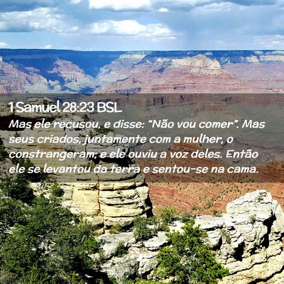 Picture 02 - 1 Samuel 28:23 BSL - Mas ele recusou, e disse: “Não vou comer”. - Bible Verse Picture